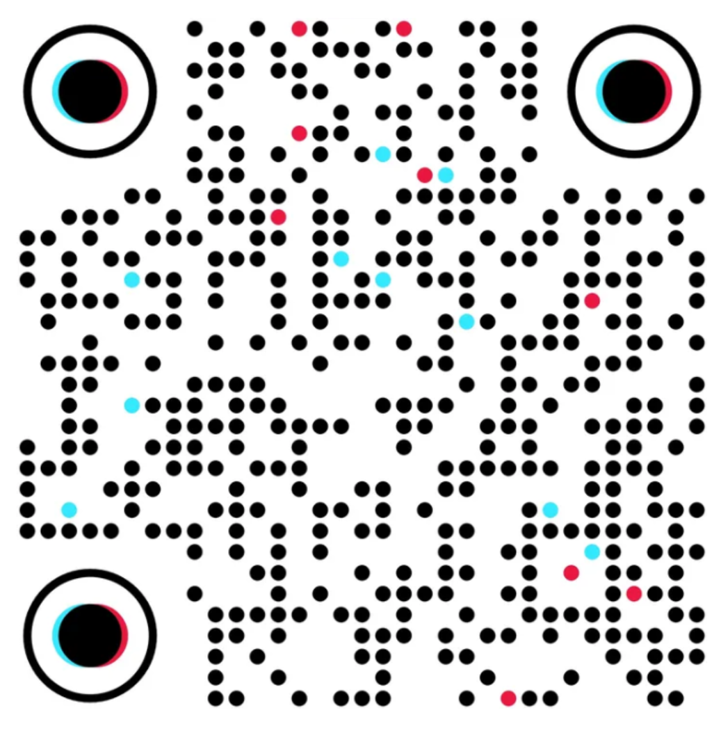 TikTok @viziseek QR code